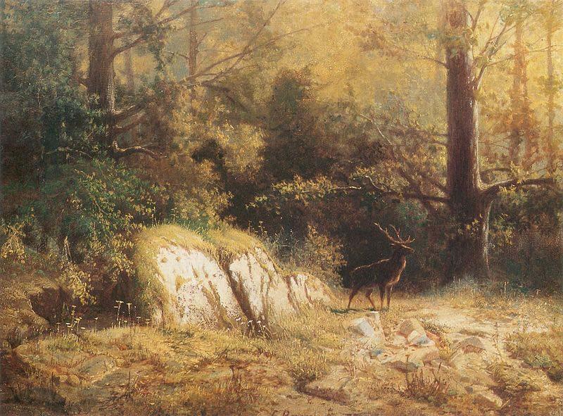 unknow artist Forest landscape with a deer. Germany oil painting art